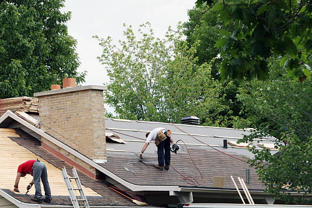 Best Storm Damage Roof Repair  in Cera, AL